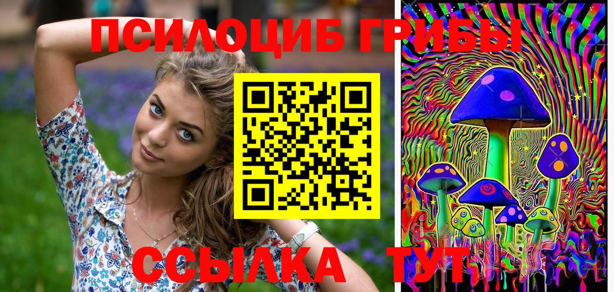 Псилоцибиновые грибы мицелий Тихвин