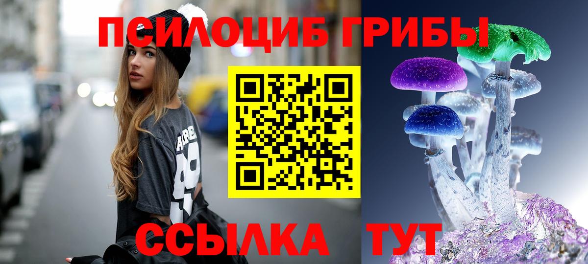 Псилоцибиновые грибы Magic Shrooms  Вход с VPN  Тихвин 